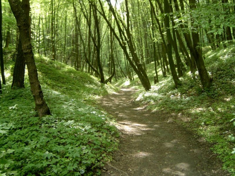 foto_01.jpg
