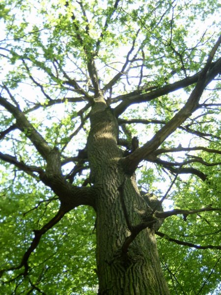 foto_10.jpg