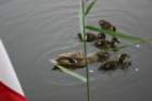 foto_26_small.jpg