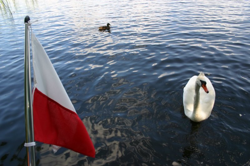 foto_27.jpg