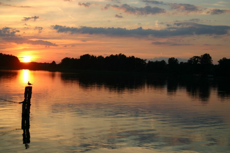 foto_31.jpg